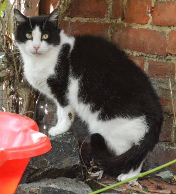 Piper und Phoebe – Bild 6