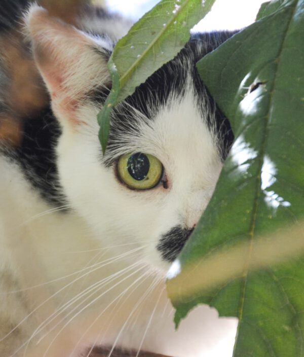 Piper und Phoebe – Bild 7