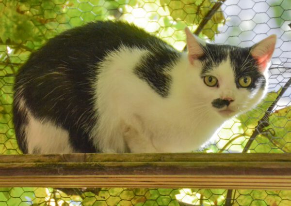 Piper und Phoebe – Bild 8