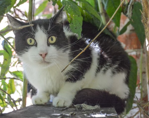 Piper und Phoebe – Bild 5