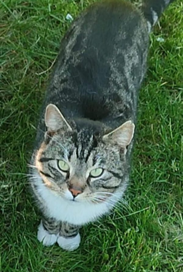 Loui – Bild 2