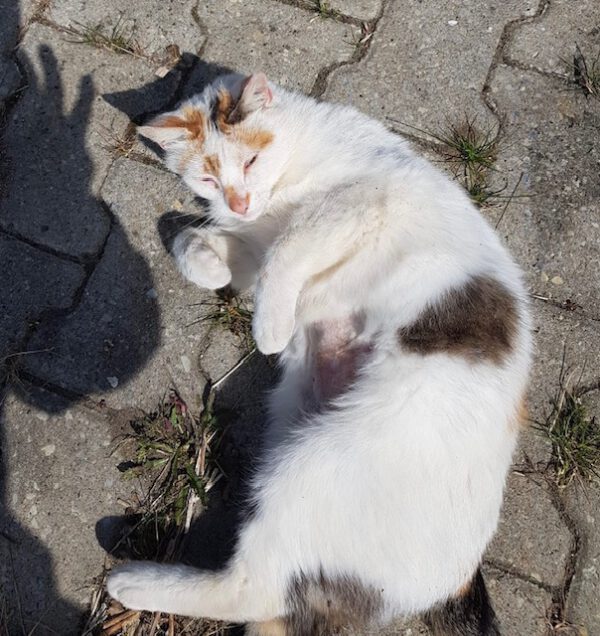 Mila – Bild 6