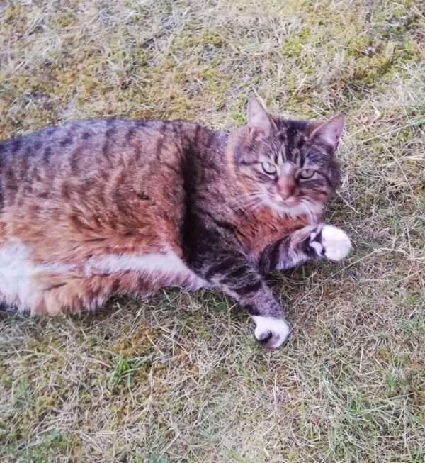 Lilly – Bild 3