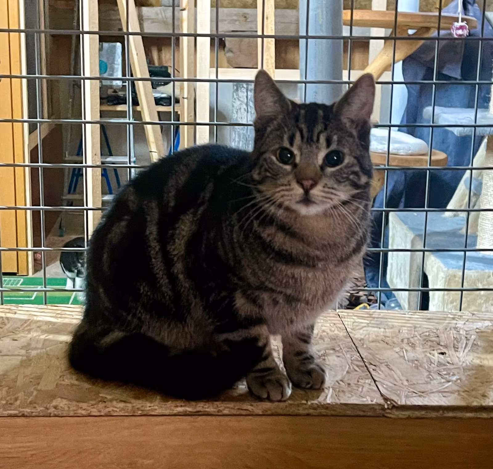 Milka und Paule – Bild 6