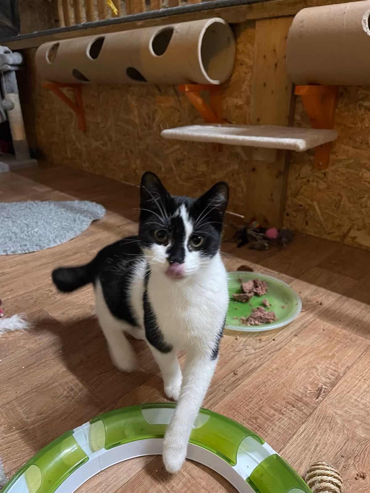 Milka und Paule – Bild 5