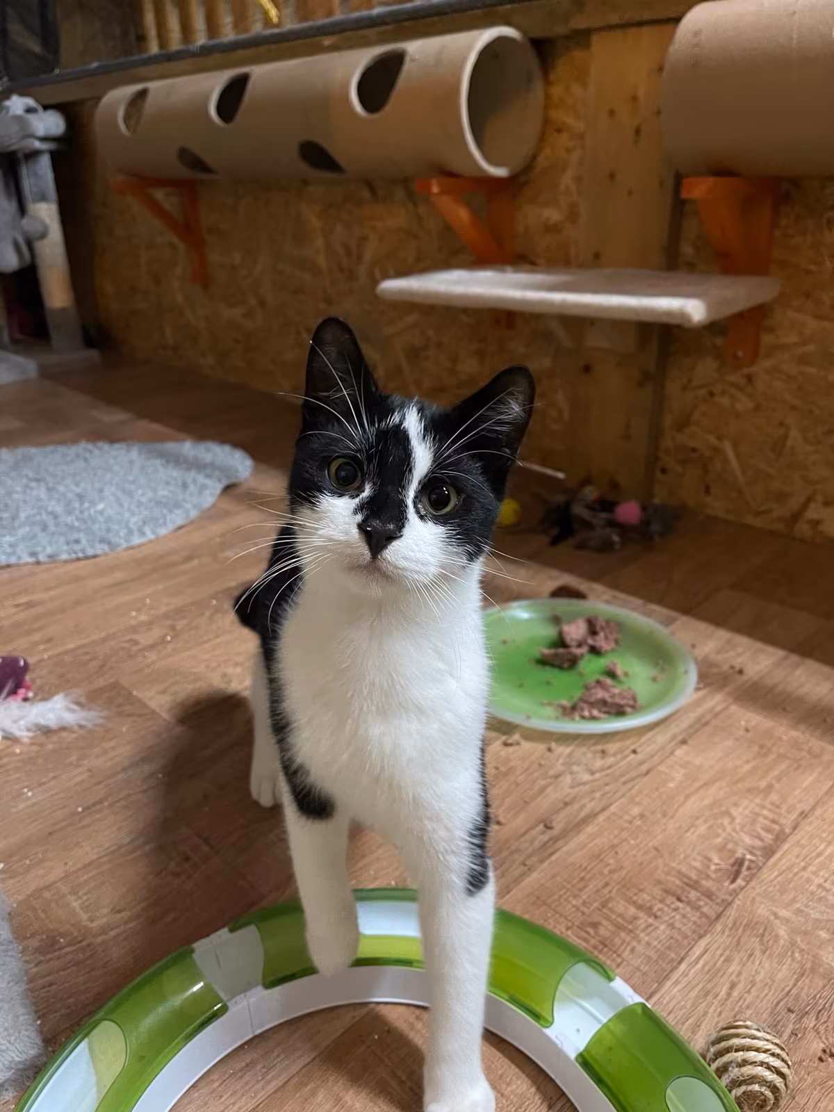 Milka und Paule – Bild 2