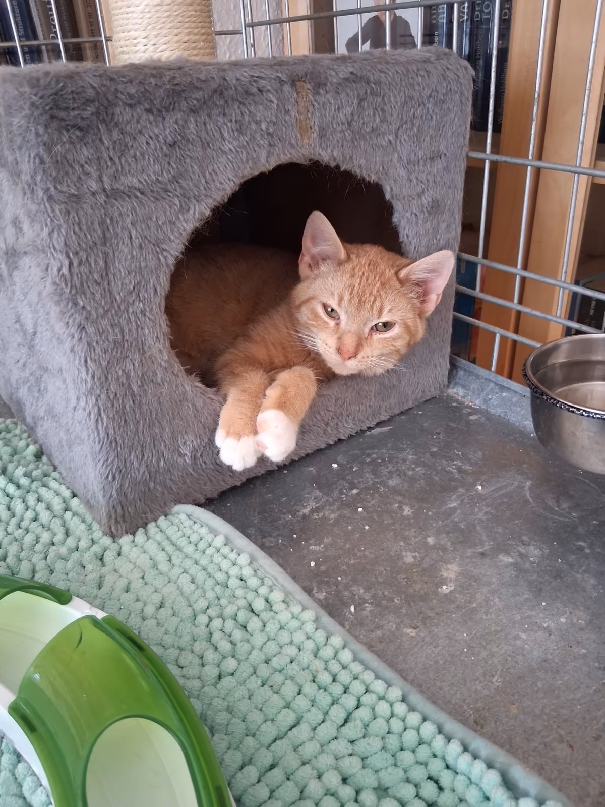 Jan und Henri – Bild 7