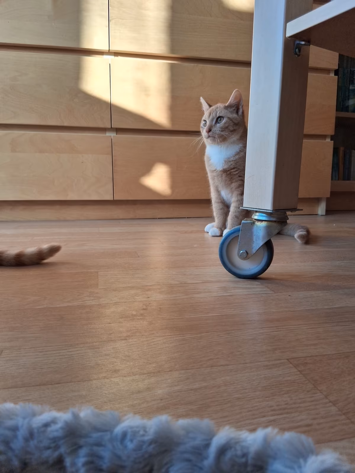 Jan und Henri – Bild 6