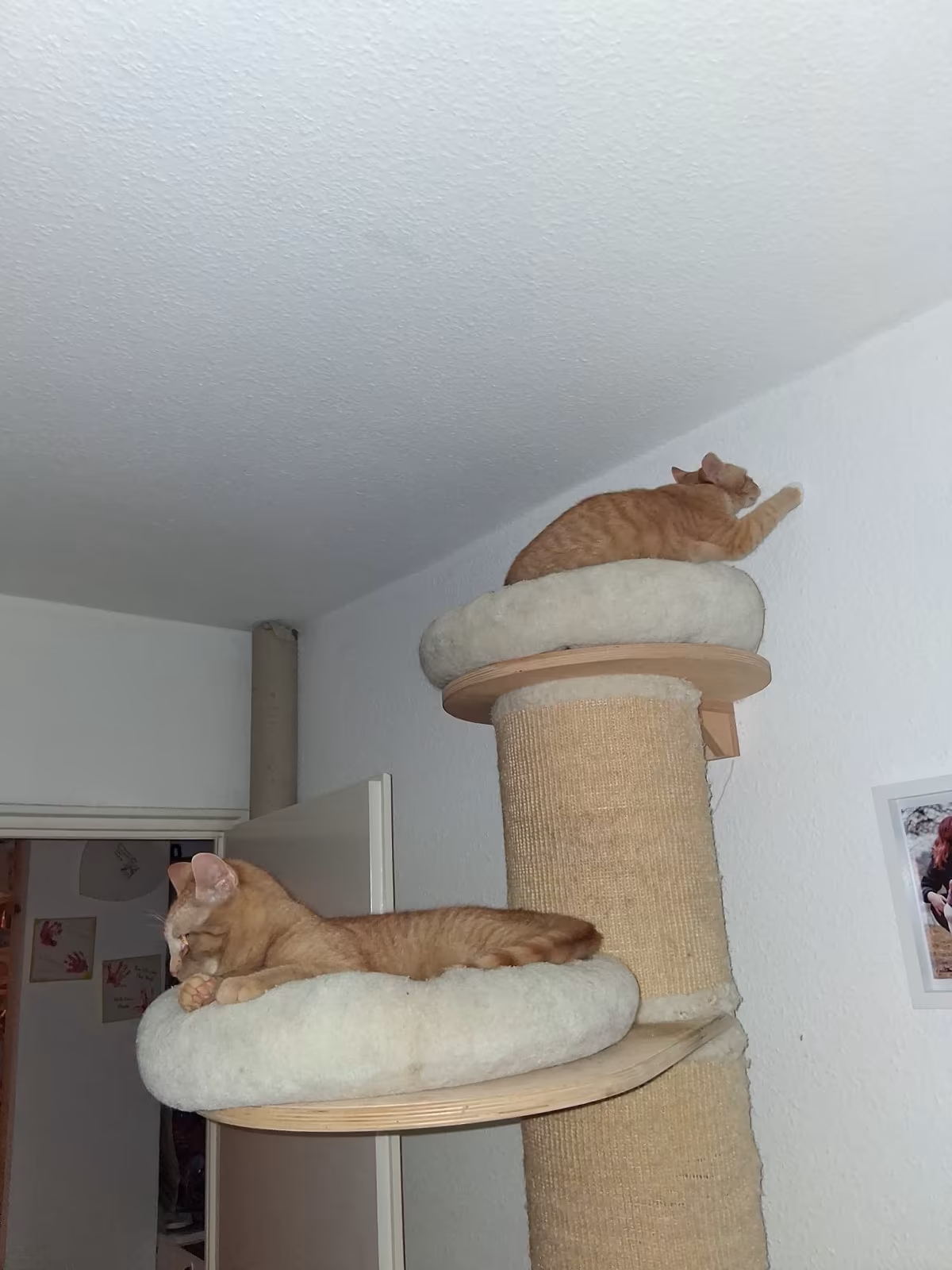 Jan und Henri – Bild 5