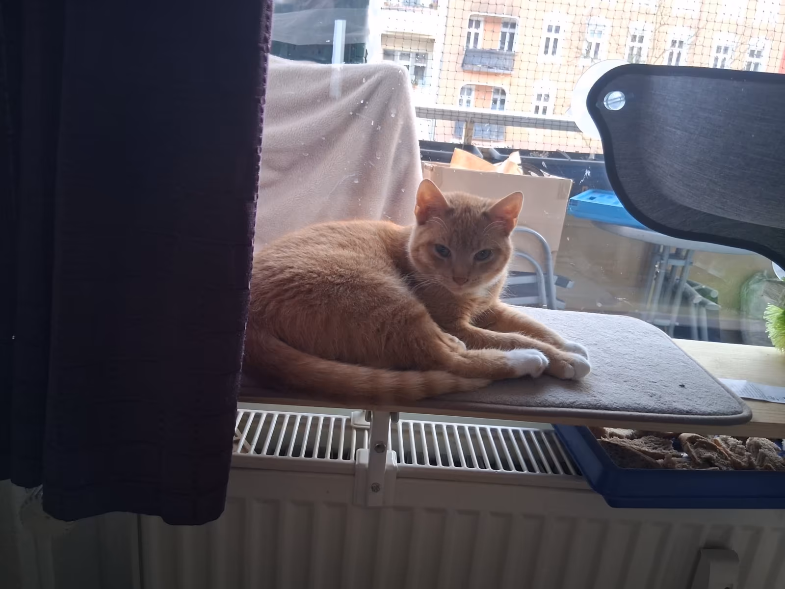 Jan und Henri – Bild 4