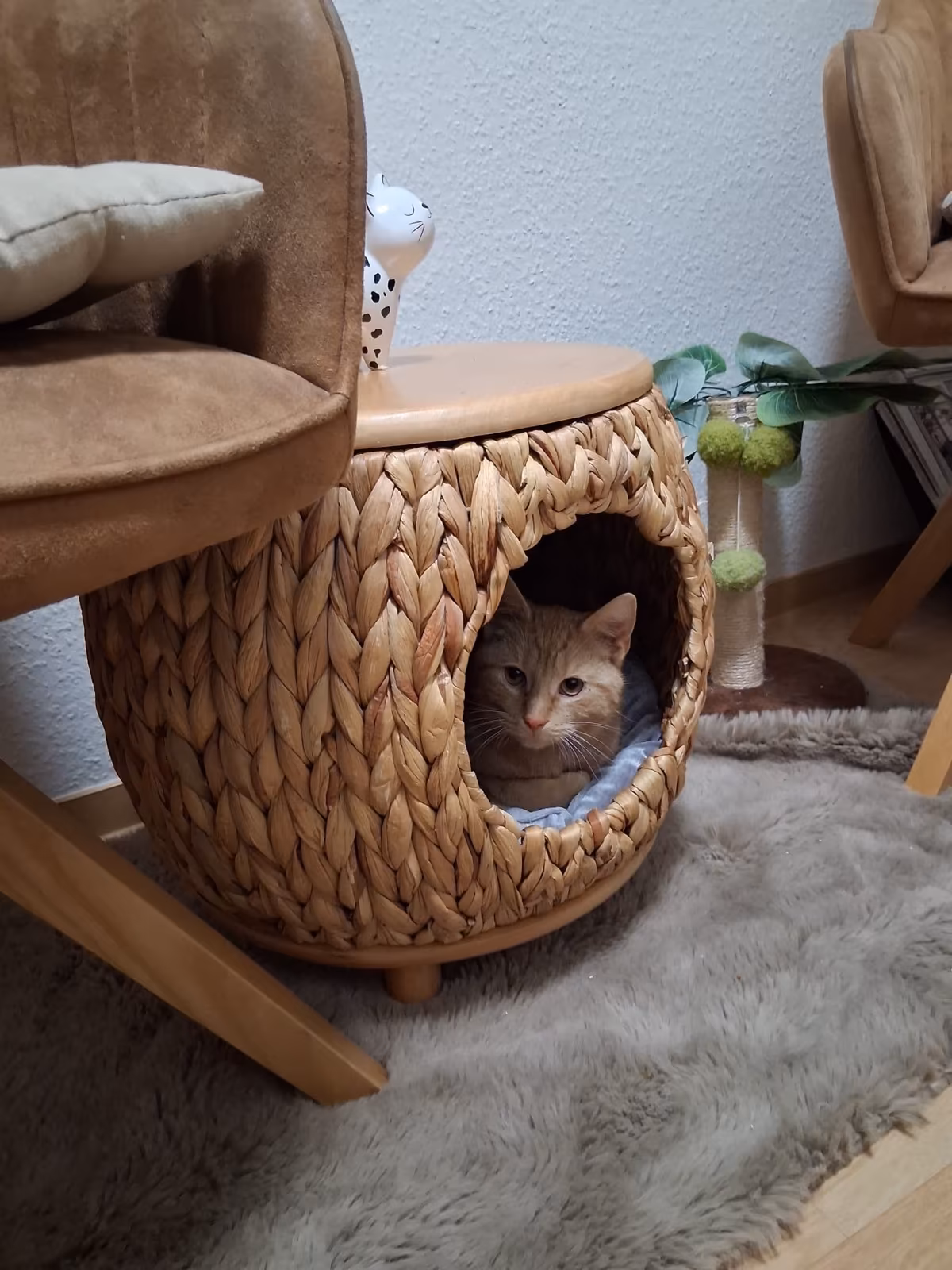 Jan und Henri – Bild 2