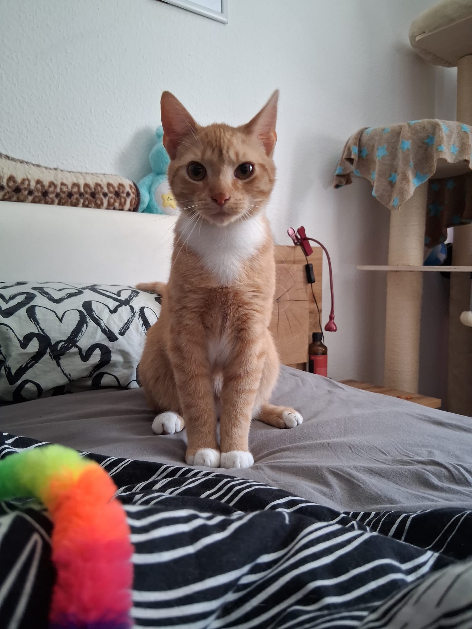 Jan und Henri – Bild 8