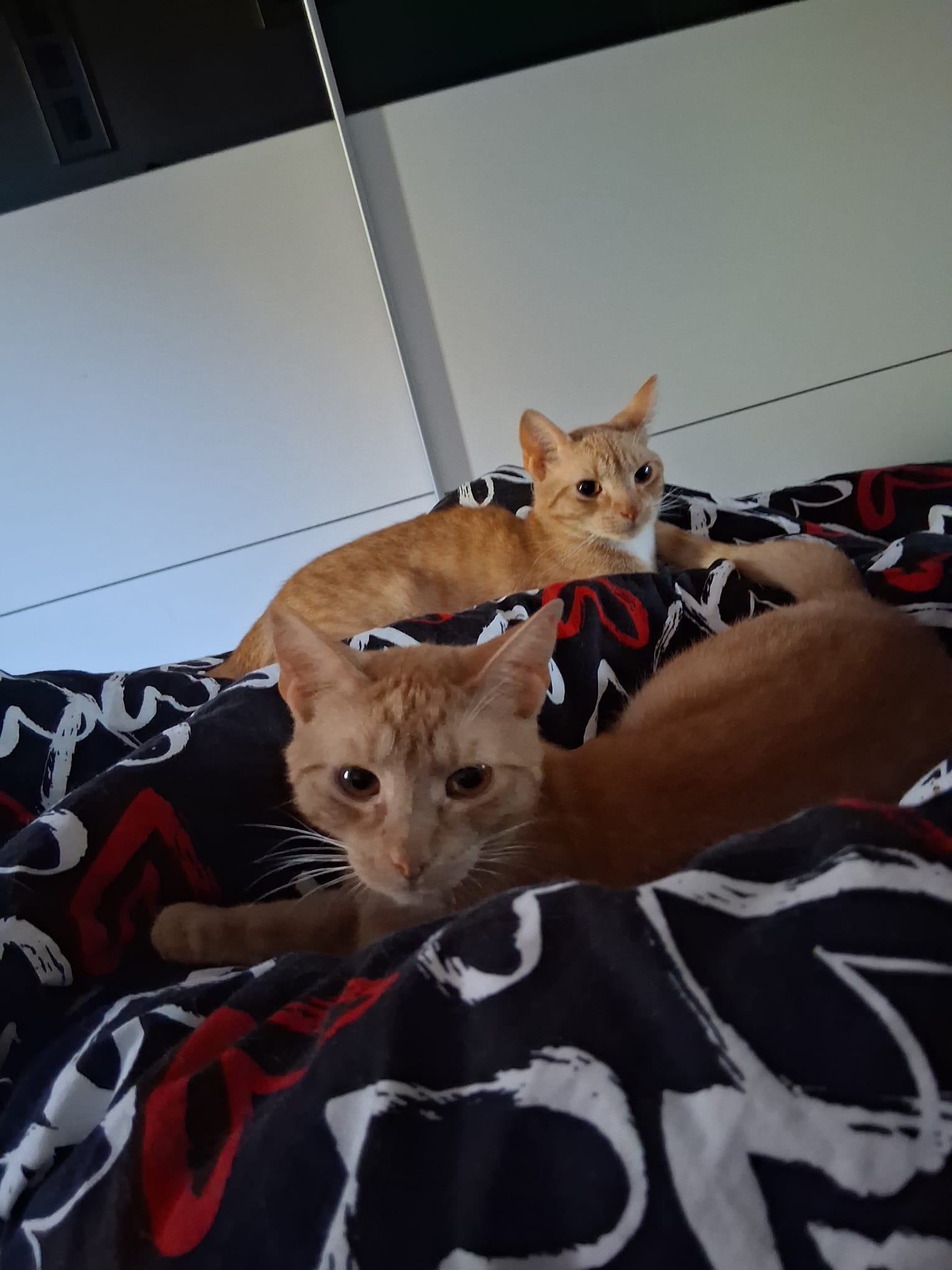 Jan und Henri