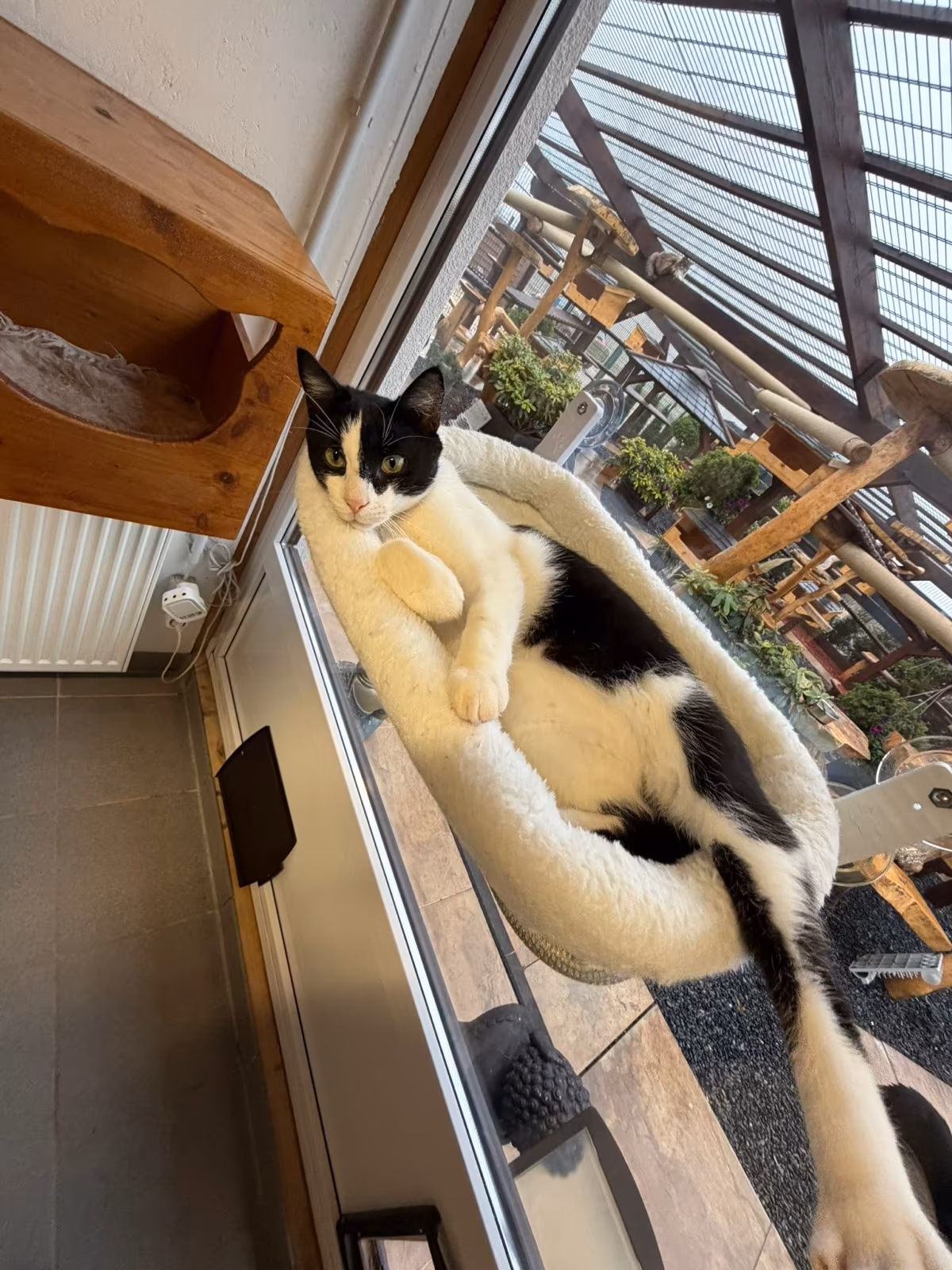 2 Buddys – Bild 7