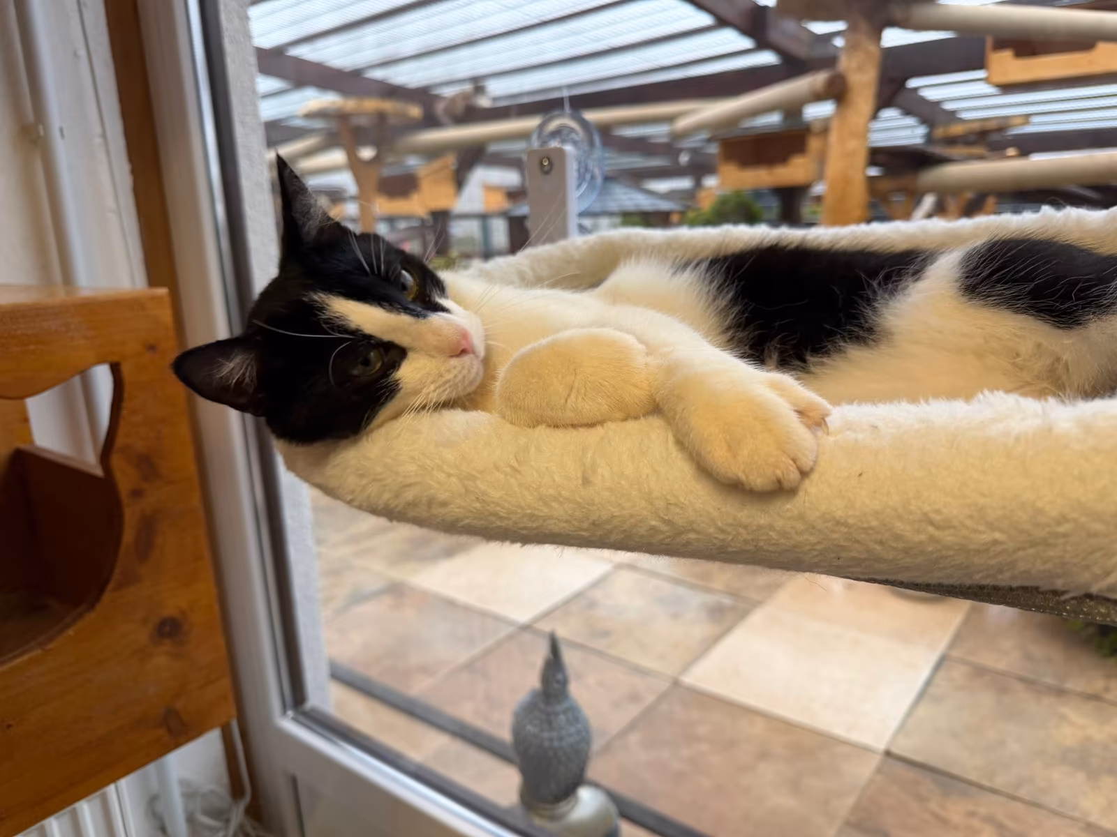2 Buddys – Bild 12